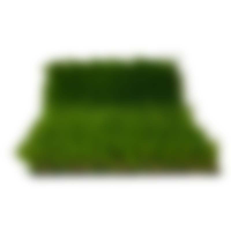 Artificial Turf Product: Augustine